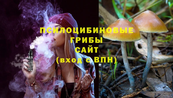 apvp Володарск