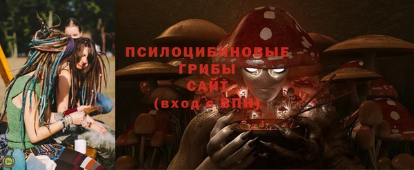 apvp Володарск