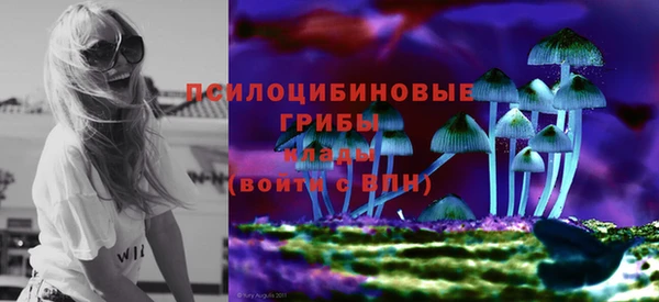 бошки Верхний Тагил